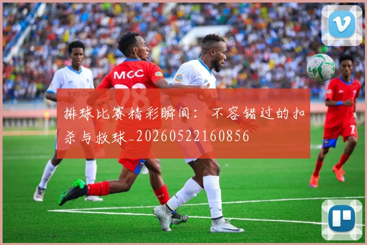 排球比赛精彩瞬间:不容错过的扣杀与救球_20260522160856